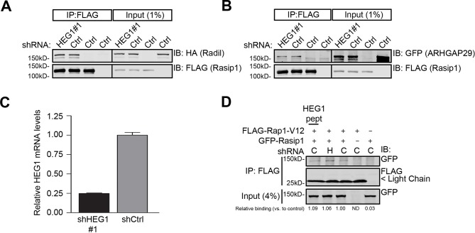 Figure 3—figure supplement 3.