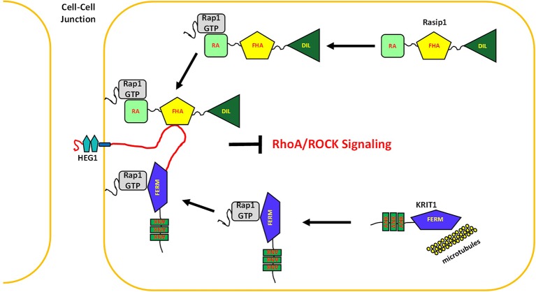 Figure 10.