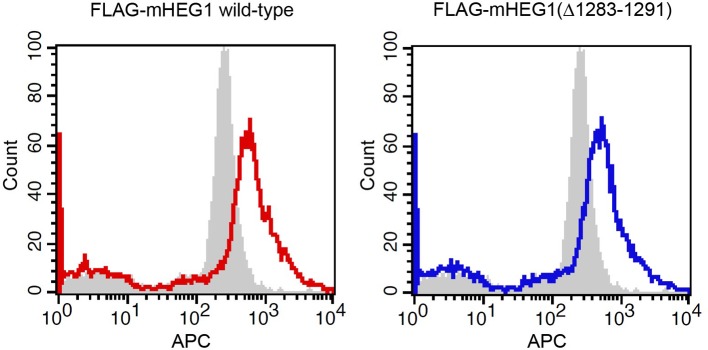 Figure 6—figure supplement 1.