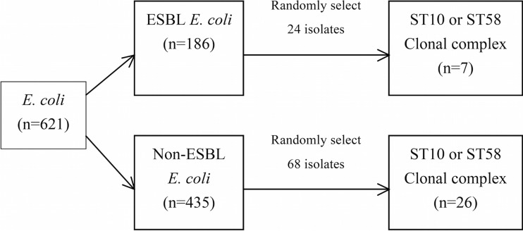 FIG 2