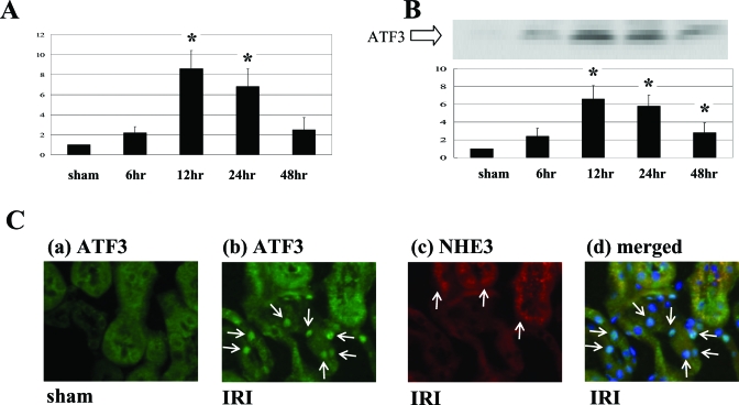 Figure 6.