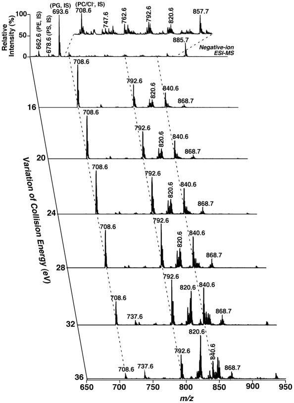 FIGURE 13