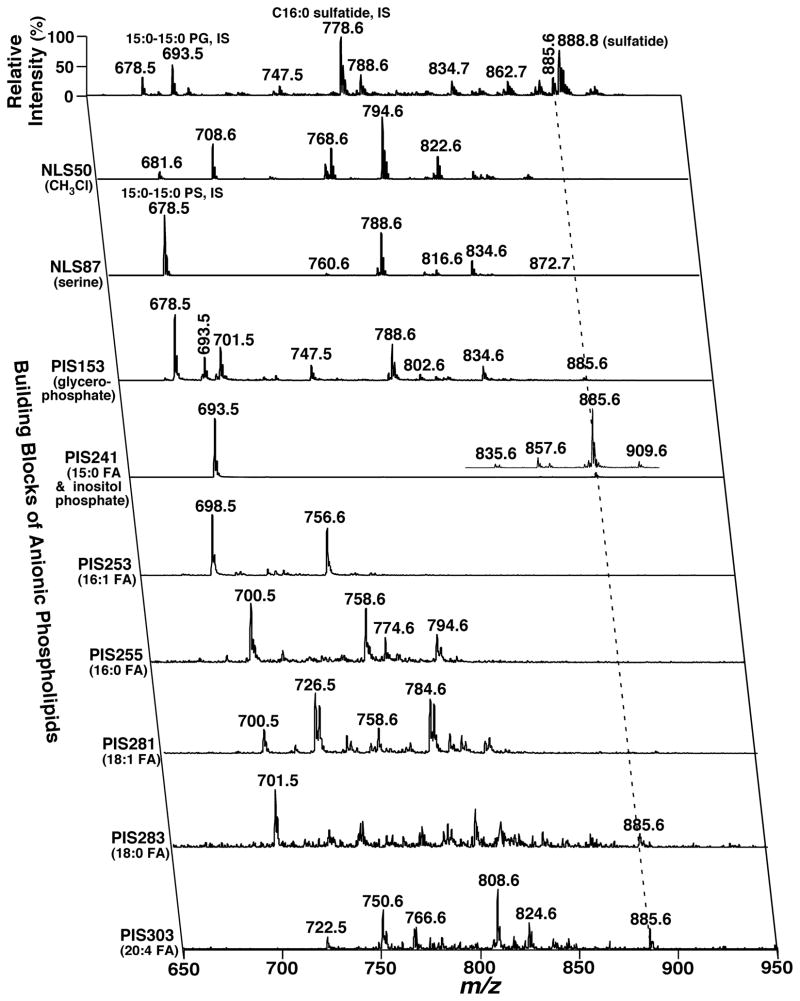 FIGURE 19