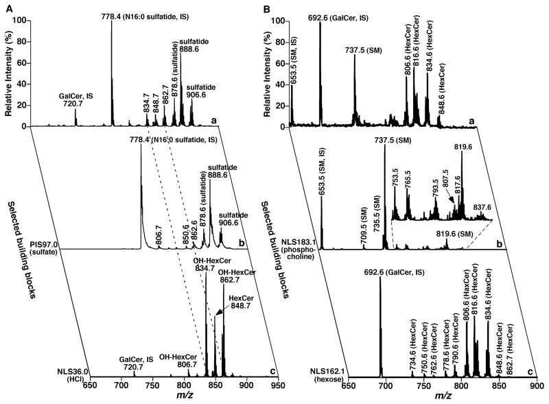 FIGURE 21