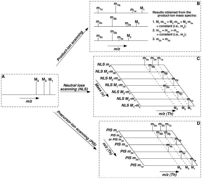 FIGURE 3