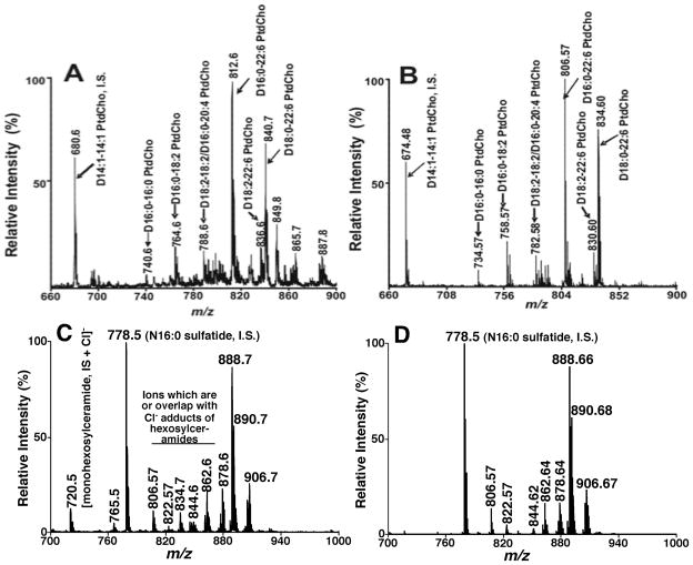 FIGURE 11