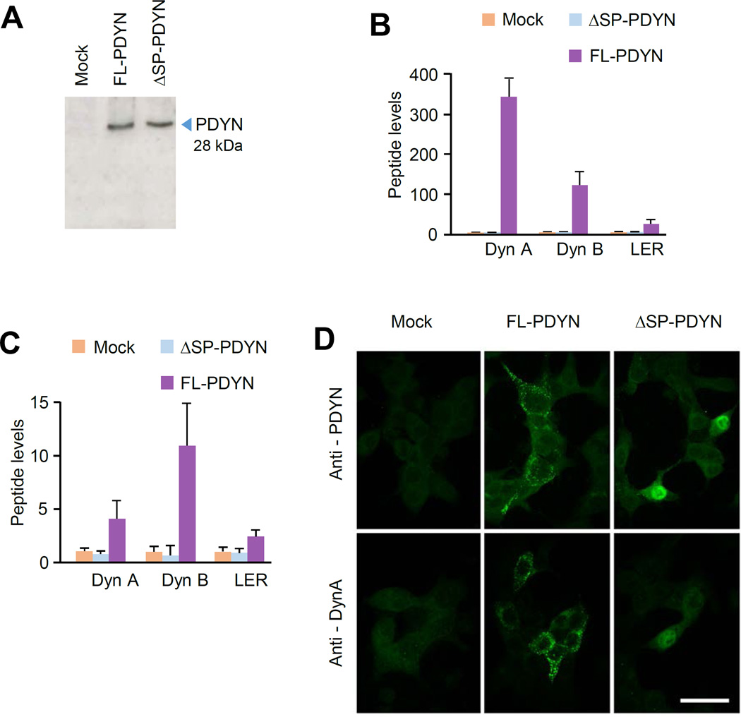 FIGURE 3