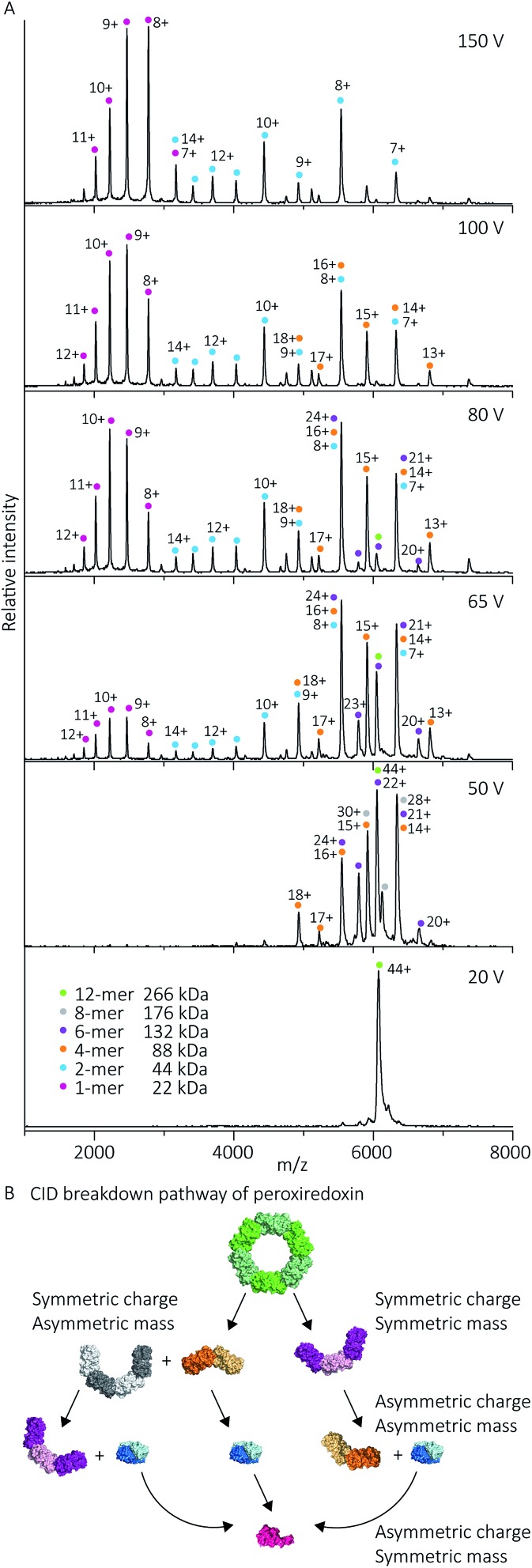 Fig. 7