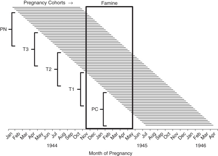 Figure 2.