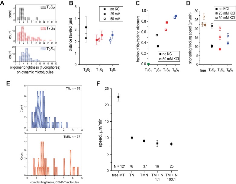 Figure 3—figure supplement 1.