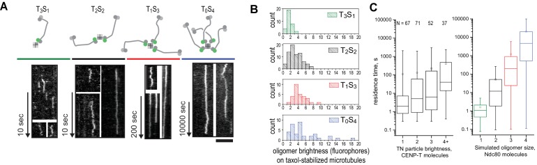 Figure 2—figure supplement 3.