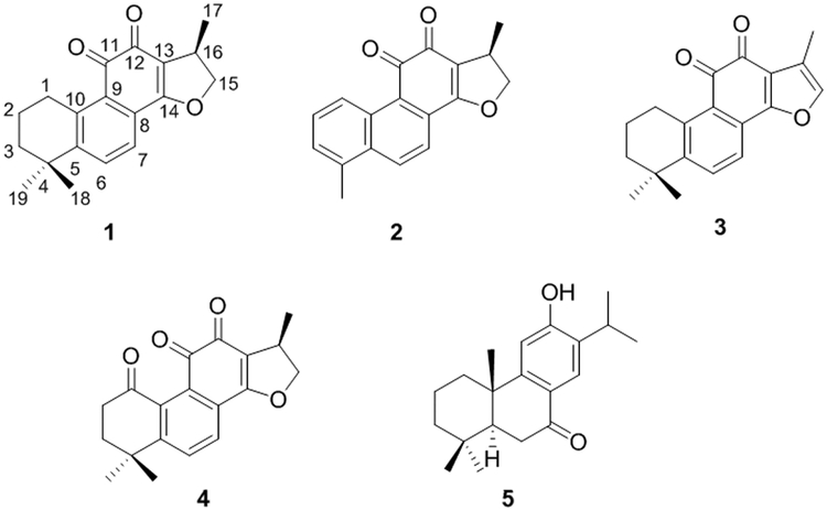 Figure 1.