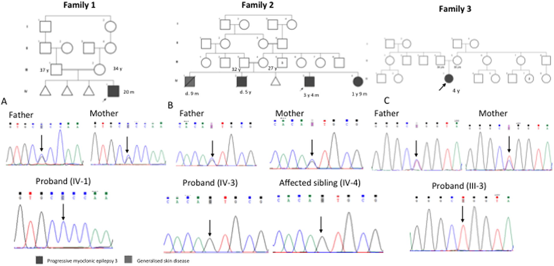 Figure 1: