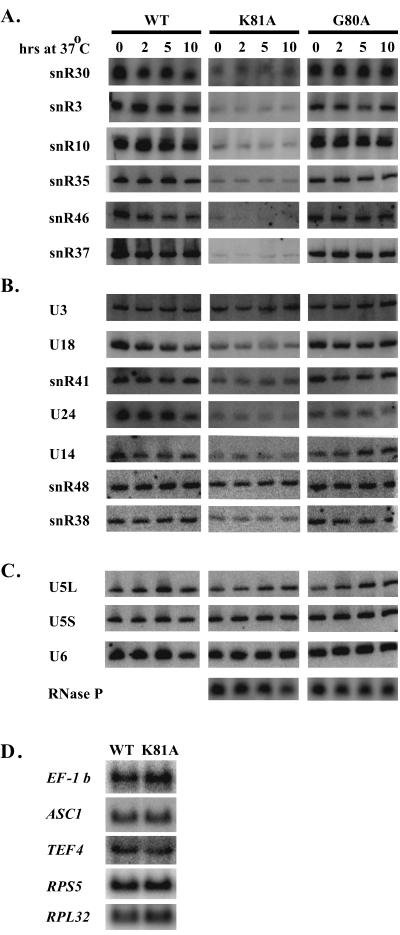 FIG. 8