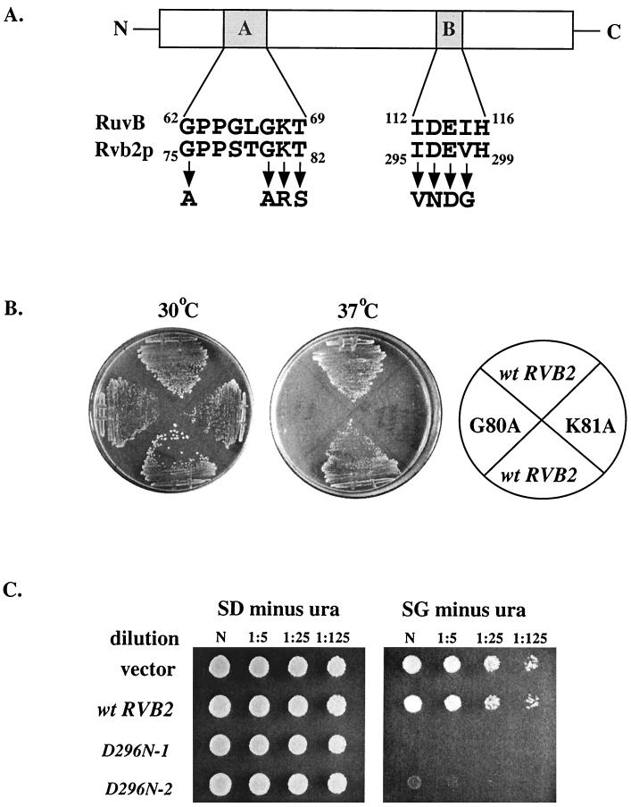 FIG. 7