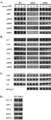 FIG. 8
