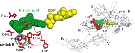 FIGURE 1.