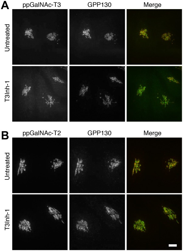 Figure 1—figure supplement 3.