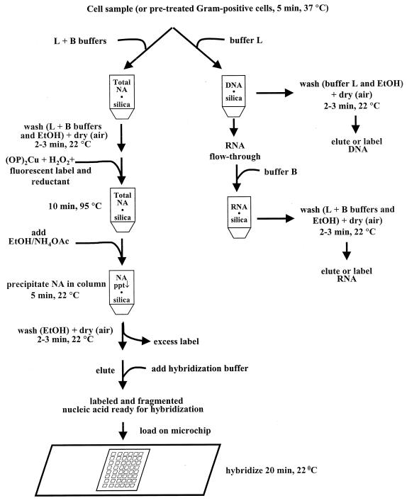 FIG. 1