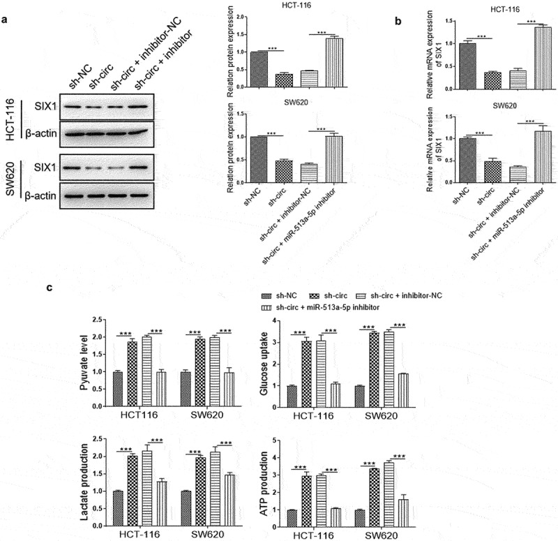 Figure 6.