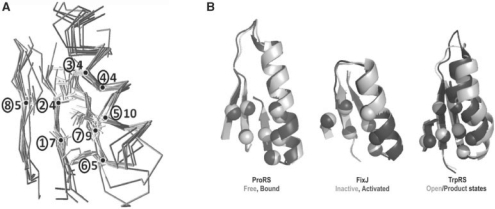 Fig. 2.