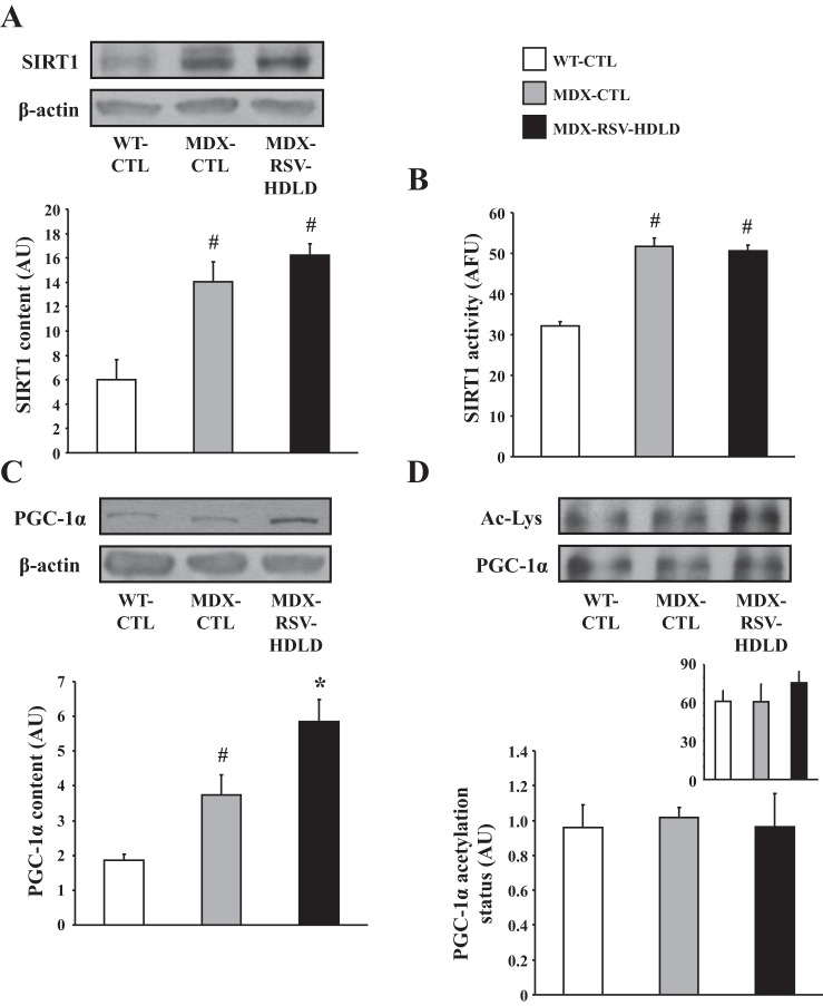 Fig. 9.