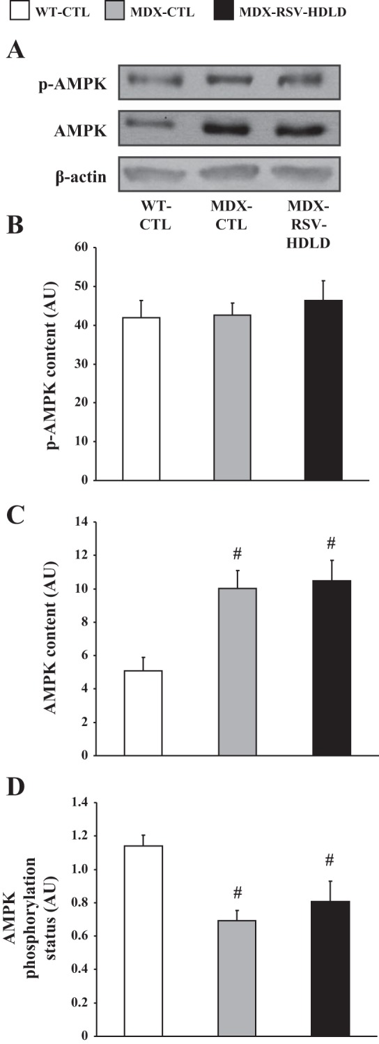 Fig. 10.