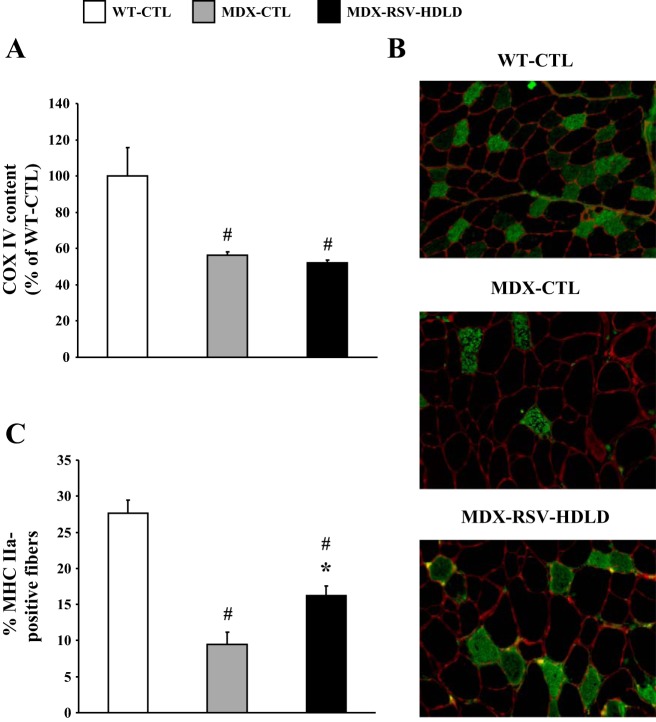 Fig. 11.