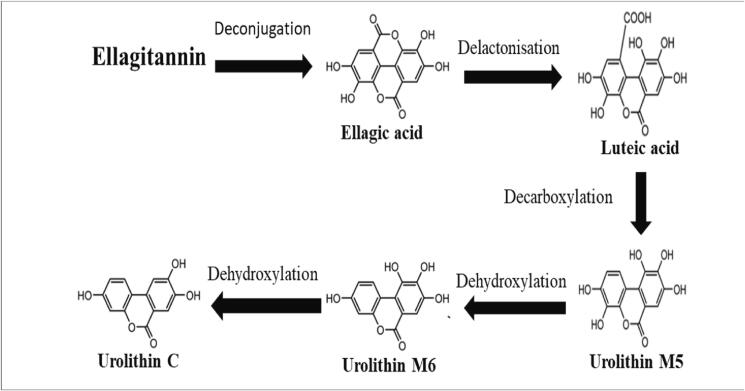 Fig. 4