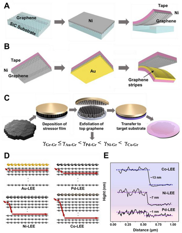 FIGURE 3