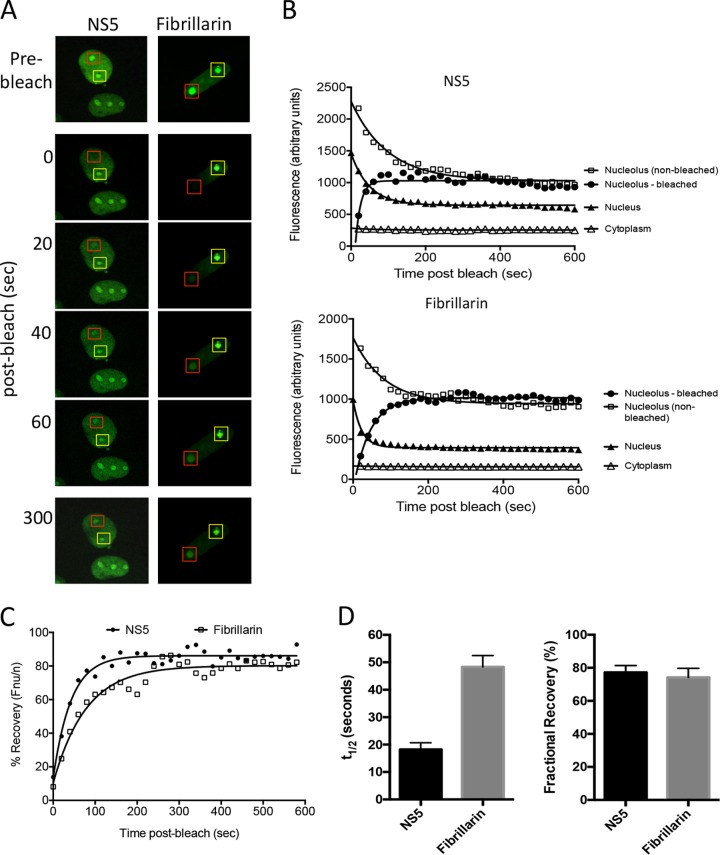 FIG 4