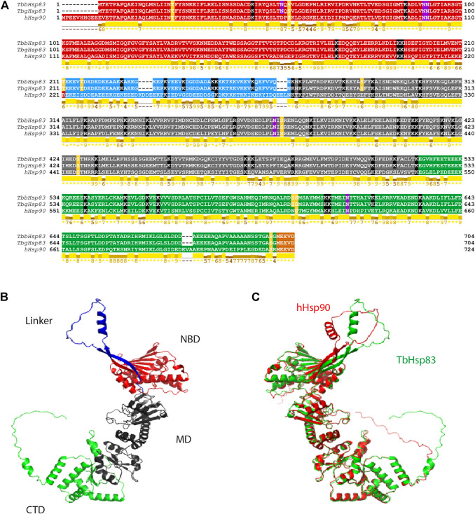 FIGURE 2