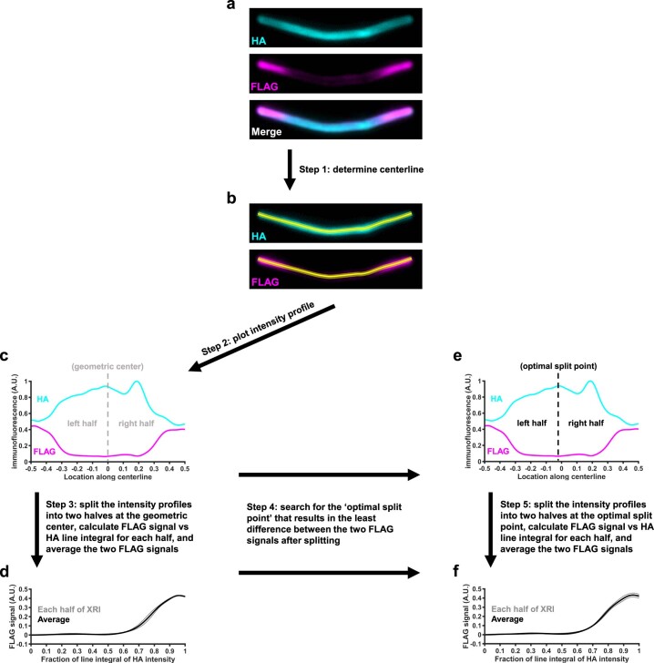 Extended Data Fig. 5