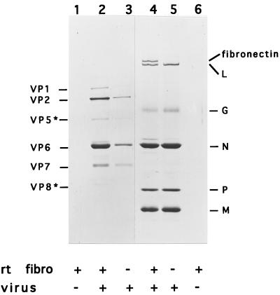 FIG. 8