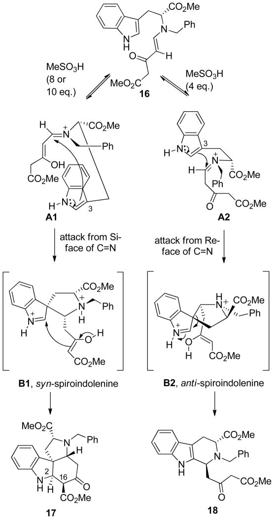 Scheme 6