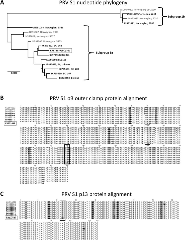 Fig 5