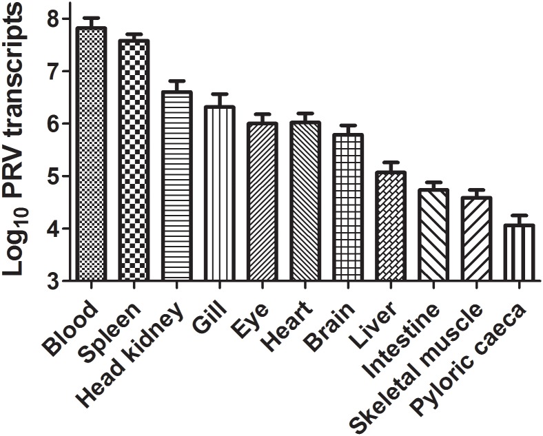 Fig 1