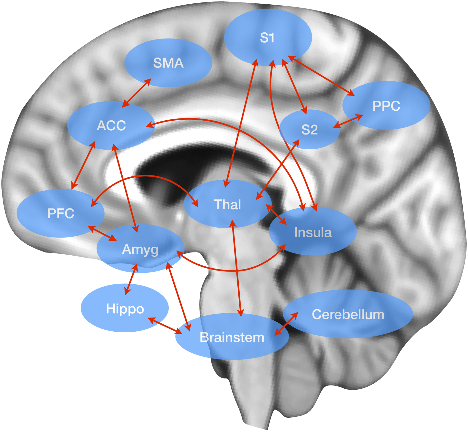 Fig 1.