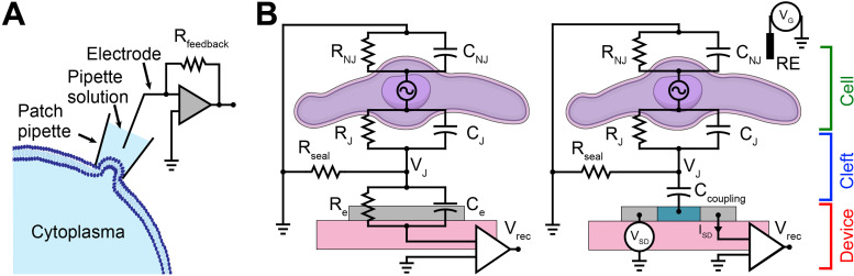 FIG. 1.