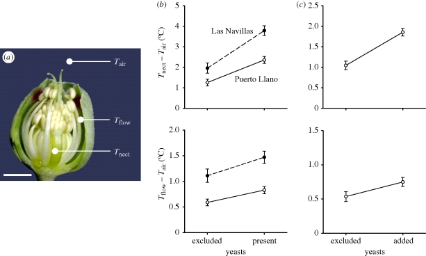 Figure 1.