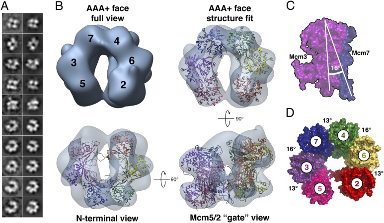 Fig. 2.