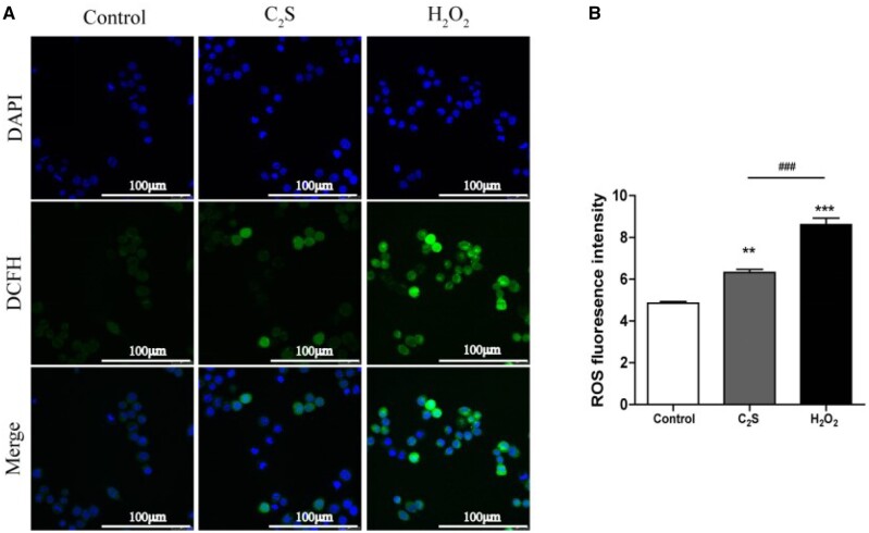 Figure 2.