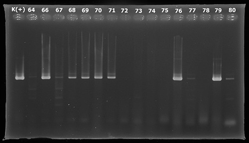 Figure 2.