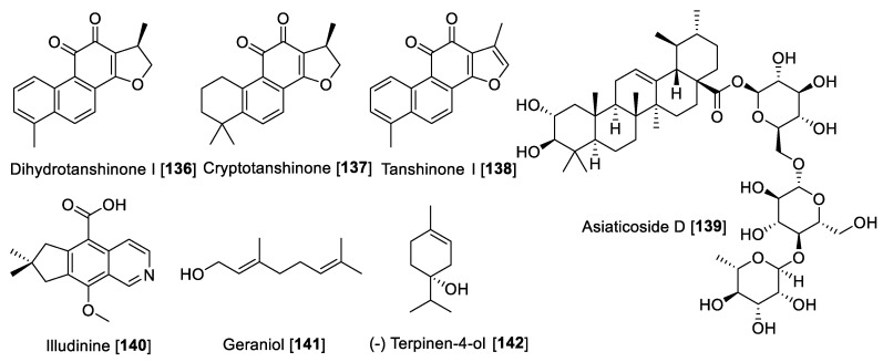 Figure 13