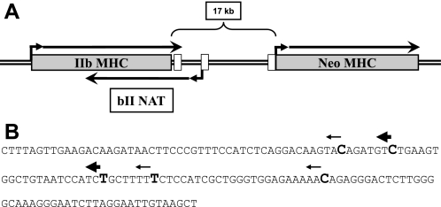 Fig. 9.