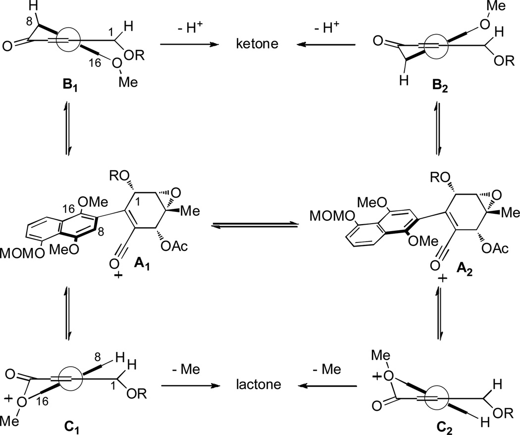 Scheme 3