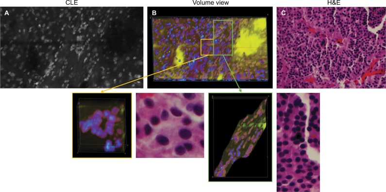 Figure 10