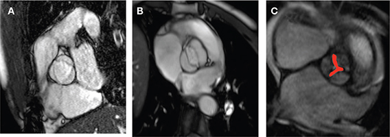 Figure 7.