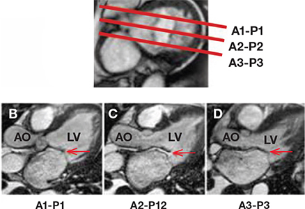 Figure 3.