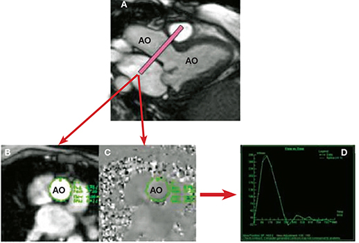 Figure 4.